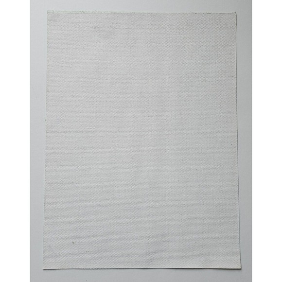 Hawk Fish Prey Acrylic Canvas Original Painting 9x12 Handmade - Picture 5 of 5